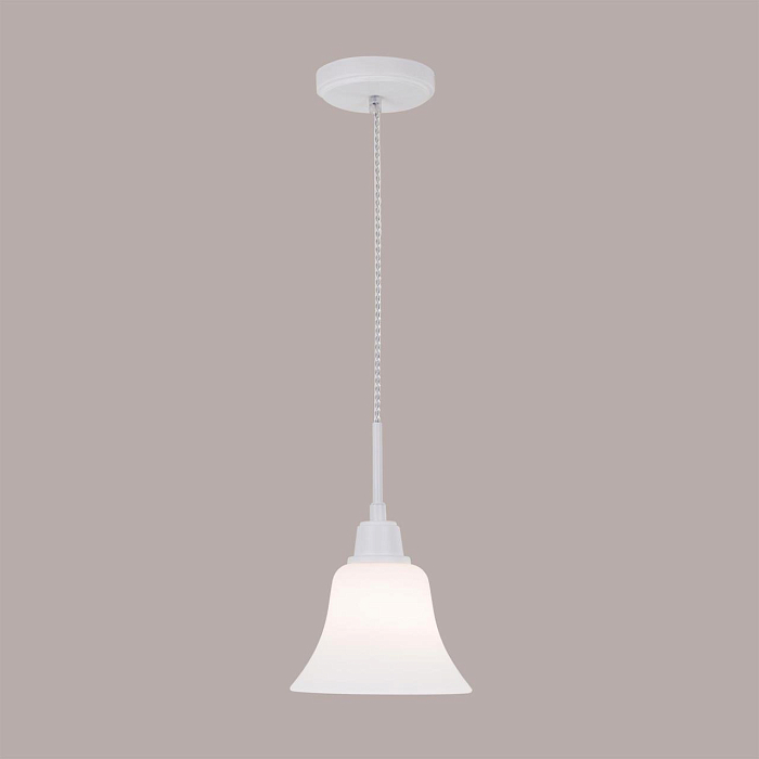 Светильник  CL560110