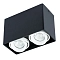 Светильник ARTE LAMP A5655PL-2BK